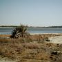 Un des lac de Siwa