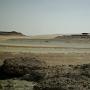 Une mer de faussiles (Siwa)