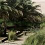 Paisible, mais chaud, surtout l'eau (Siwa)