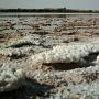 Sel de mer, en plein Sahara (Siwa)