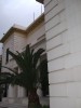 DSCF0046.JPG