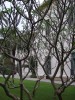 DSCF0049.JPG