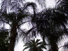 DSCF0051.JPG