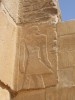 DSCF0741.JPG