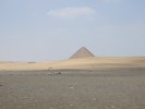 DSCF0841.JPG